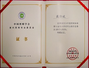 中國照明學會